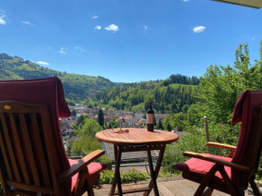 Ferienwohnung Traumblick Schönau Im Schwarzwald